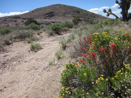 Today's hike begins by walking about 1/3 mile down the non-Wilderness section of Castle Peaks Road