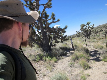 I hike past another set of Wilderness markers on the west side of the Castle Peaks Road dry reservoir