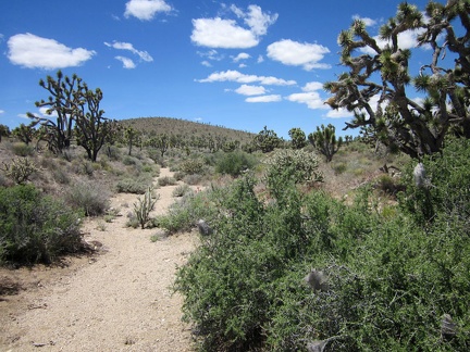 I'm heading up a small drainage now toward that rounded hill on my way to the Bathtub Spring Peaks area