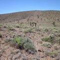 When I reach the base of the higher hill ahead overlooking Ivanpah Valley, it doesn't look like it will be as steep as expected