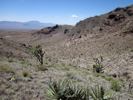 I'm almost down in the Bathtub Spring canyon now