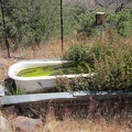 Bathtub Spring in the New York Mountains is true to its name and has a bathtub, inserted into an old rusted cistern