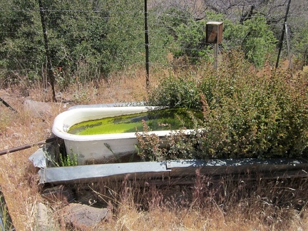 Bathtub Spring in the New York Mountains is true to its name and has a bathtub, inserted into an old rusted cistern