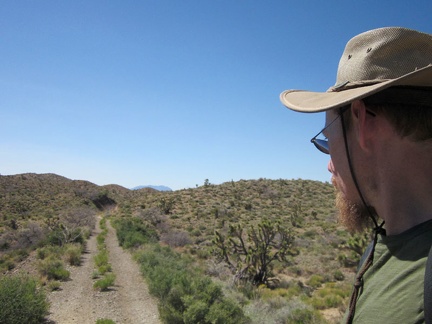 Here I am now at the old Ivanpah railway grade, which I never got around to visiting while passing by on previous trips