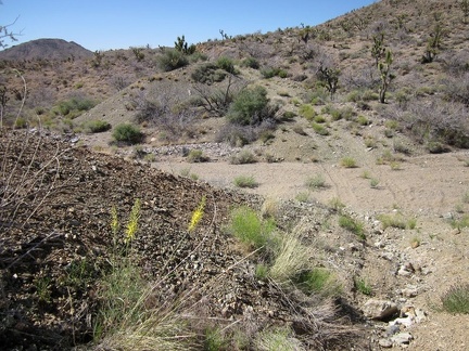 Ooops! A total wash-out of the old Ivanpah railway grade
