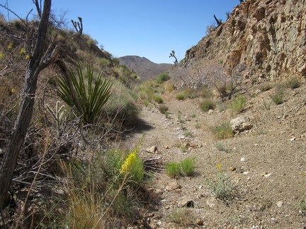  I climb back up onto the Ivanpah railway grade after the wash-out and it's another slice through the rocks