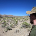 I'm now in Willow Wash, Mojave National Preserve, at the lowest point of today's hike: 4175 feet elevation
