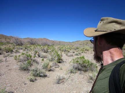 I'm now in Willow Wash, Mojave National Preserve, at the lowest point of today's hike: 4175 feet elevation