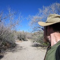 I pass through a grove of Desert willows (Chilopsis linearis), which is likely what Willow Wash is named after