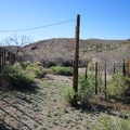 According to my GPS, I'm not quite at Willow Spring when I pass this old corral in Willow Wash