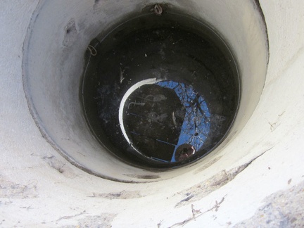 I open the wooden lid on the concrete cistern at Willow Spring, and a bit of water stares back up at me