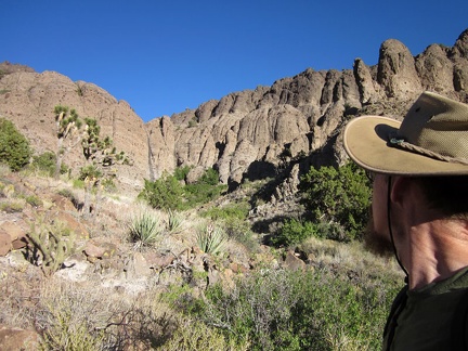  I'm temped to try hiking up a slot in the rugged cliffs adjacent to the drainage above Willow Wash