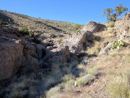 I decide to ignore the cliffs and keep hiking up the easier route in this drainage above Willow Wash; the top is not far ahead