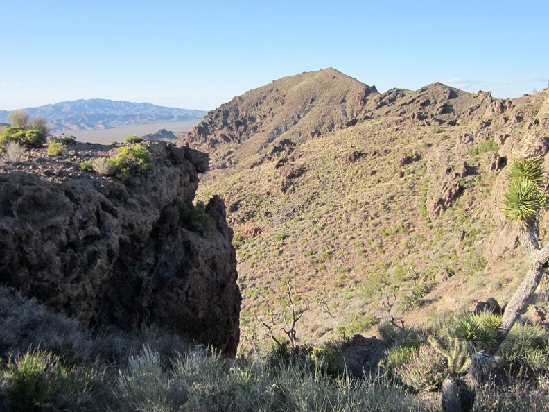 I finally reach the top of the drainage and am treated to an unexpected panorama across the Ivanpah Valley