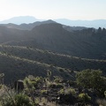 The succession of ridges visible from Dove Spring Peaks stands out in the pre-dusk sunlight; I recognize those pinnacles