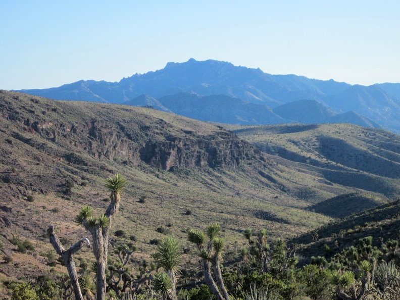 Dove Spring Peaks also has views over to the high blue peaks further over in the New York Mountains