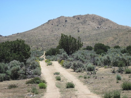 Gold Valley Mine Road passes briefly through a patch of juniper and sagebrush that escaped the 2005 brush fires
