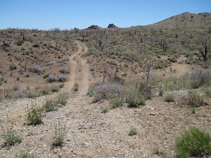Gold Valley Mine Road rolls over a series of natural drainages as it climbs gently up the hill