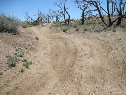 I ride up a few unevenly banked segments on Gold Valley Road