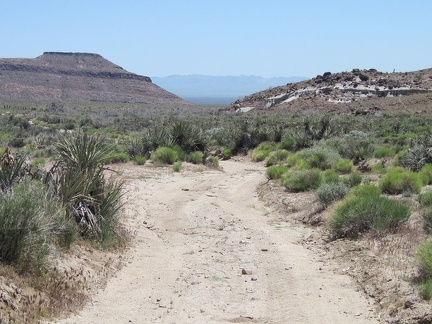 I drop another 400 feet of elevation as I ride down the bottom of Gold Valley Mine Road