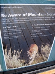 A poster at Hole-in-the-Wall visitor centre warns of possible mountain lions in the Mid Hills area, where I'm camping