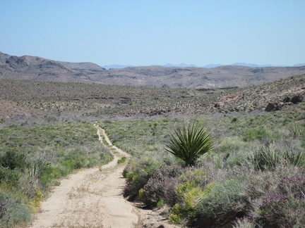 The last couple of miles toward Woods Wash are a bit sandy in places, but rough enough to provide traction for a mountain bike