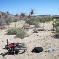 I arrive at the Woods Wash Wilderness boundary, stash my bicycle behind a bush and convert from biker to hiker