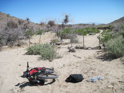 I arrive at the Woods Wash Wilderness boundary, stash my bicycle behind a bush and convert from biker to hiker