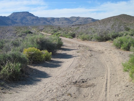 As the road rises slowly out of Woods Wash, it heads toward Table Mountain for a while, then turns left (west)