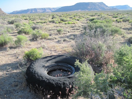 With Wild Horse Mesa in the backgound, I spot an oversized and eroded old tire along Woods Wash Road