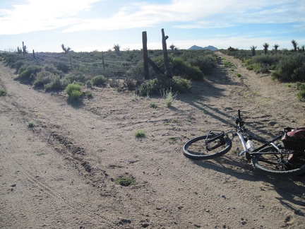 I decide to try a possible shortcut road that veers north (the right fork) off Woods Wash Road