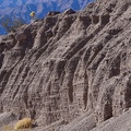 A cholla cactus watches me from a safe distance, Death Valley National Park