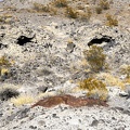 Wry Canyon smiles back at me, Death Valley National Park.