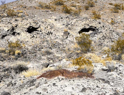 Wry Canyon smiles back at me, Death Valley National Park.