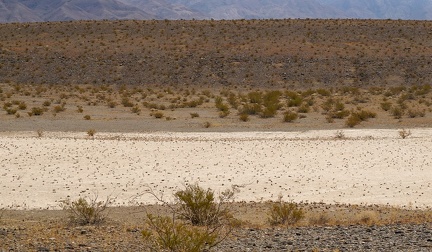 Solitude at a small dry lake in the backcountry