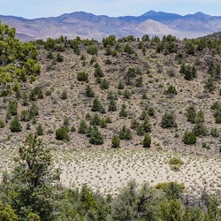 Eastern California and Nevada