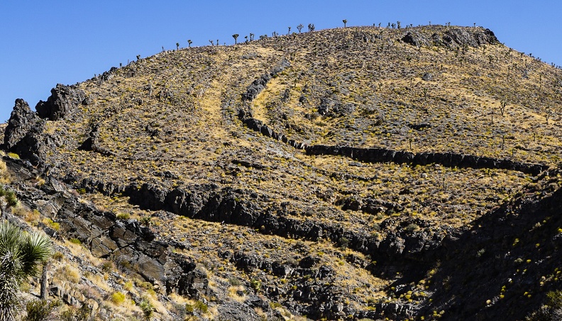 Swirling hillside