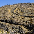 Swirling hillside