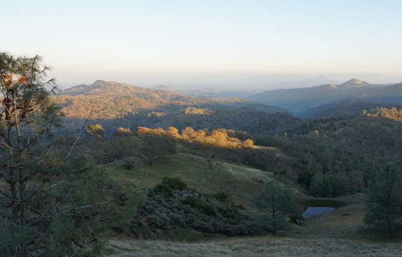 Cattle pond near Wagon Road