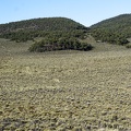 Road, Humboldt-Toiyabe National Forest