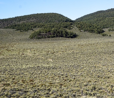 Road, Humboldt-Toiyabe National Forest