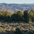 Morning, Humboldt-Toiyabe National Forest