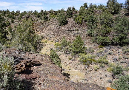 Dry wash, Humboldt-Toiyabe National Forest