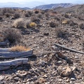 Abandoned firewood from years ago