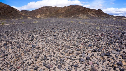 Desert beach