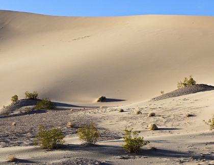 Slab dune