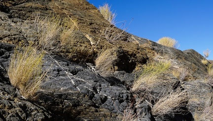 Desert rock garden