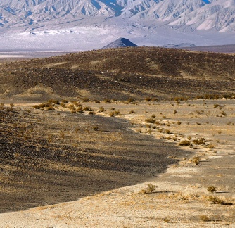 Distant dunes