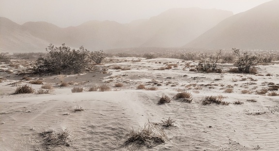 Sandstorm, Eureka Valley