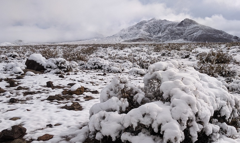 Thanksgiving 2019 snowfall melts away